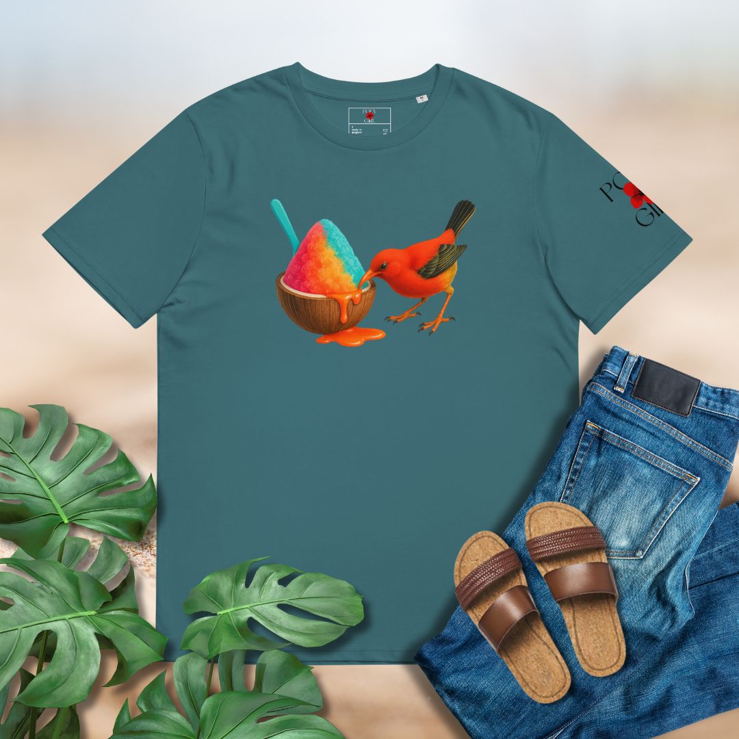 Teal t-shirt with a bird and shave ice design, paired with jeans and sandals on a neutral background.