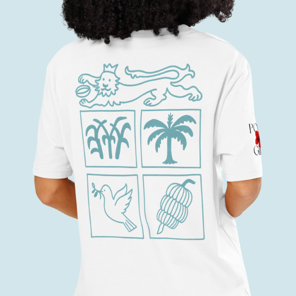 Person wearing a white t-shirt with blue graphics on the back against a light blue background. Fiji Seal Motif T-shirt by Poly Girl