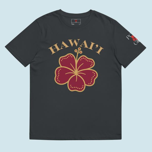 Black t-shirt with red and gold hibiscus flower graphic and 'HAWAII' text on a light blue background